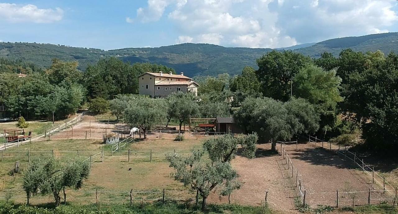 Il Rovero Apartment Castion Veronese Exterior photo